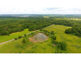 TRACT 39 - ILLINOIS LAND AUCTION - 4,810+/- ACRES OFFERED IN 85 TRACTS IN FRANKLIN, WILLIAMSON, HAMILTON & SALINE COUNTIES, ILLINOIS